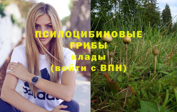 гашишное масло Горняк