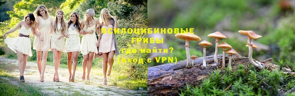 МДПВ Горно-Алтайск