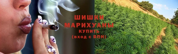 бутират Горнозаводск