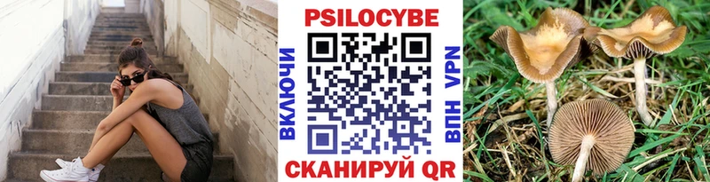 Галлюциногенные грибы мицелий  Купить где  Опочка 